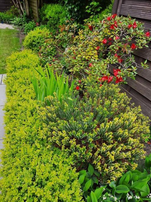 Urlaubsdomizil Norden/Norddeich, Mit Garten Bagian luar foto