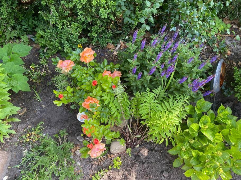 Urlaubsdomizil Norden/Norddeich, Mit Garten Bagian luar foto
